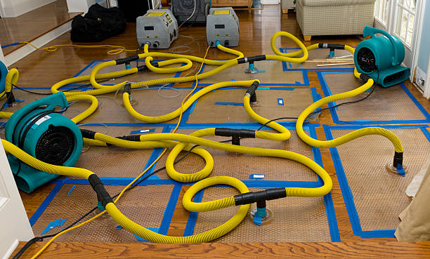 Professional Basement Flood Cleanup technician working in Harrisville, UT